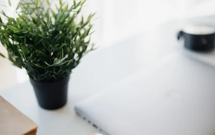 Modern workspace with a laptop, books, an apple, and a small potted plant on a bright desk