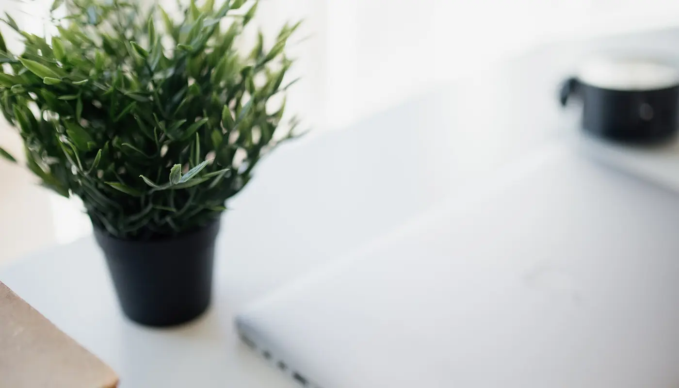 Modern workspace with a laptop, books, an apple, and a small potted plant on a bright desk